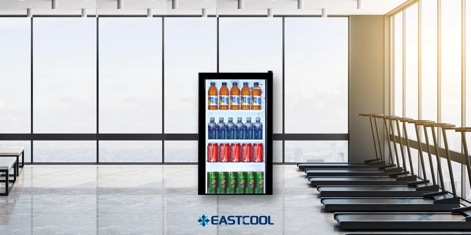 Eastcool Irani refrigerator TG 542 -08